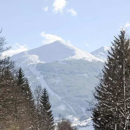 Sidney By Interhome Apartment Bad Hofgastein